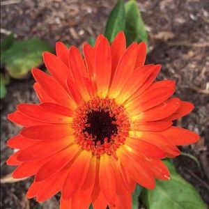 Meet your Posher, Meriam